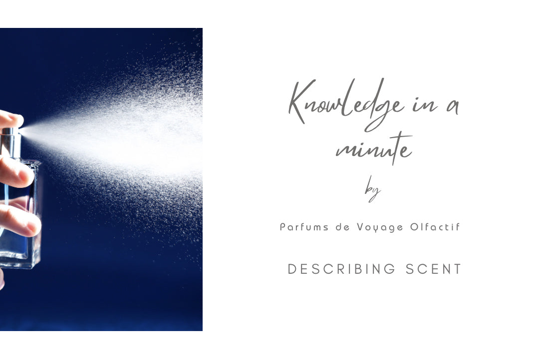 Why It’s So Hard to Describe Smell